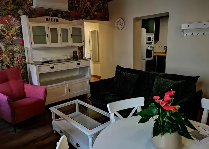 Apartamento A Casa Da Mae *